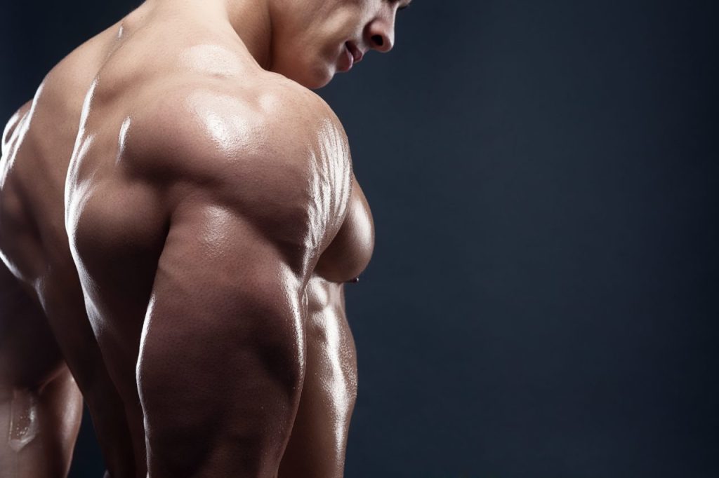 best creatine for muscle growth
